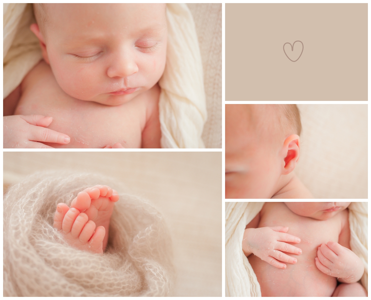 babyfotografie-wiesbaden